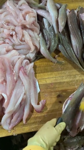 Boneless fish fillet precision cutting technique: Zero-loss complete meat extraction method