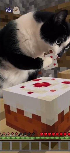 Cat Eats Minecraft Cake… in Minecraft!🍰