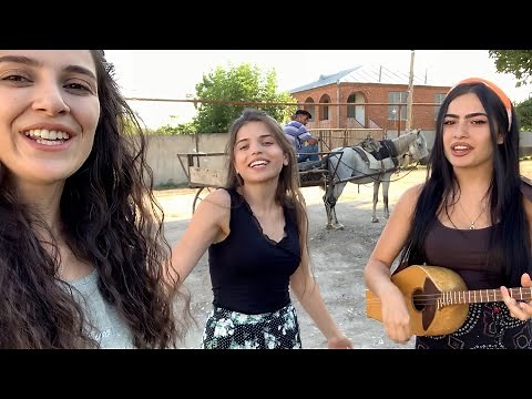 Trio Mandili - Heri bicho