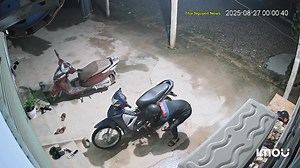 2 THANH NIÊN TRẺ KHÔNG LÀM MÀ ĐÒI CÓ ĂN Vụ việc xảy ra gần ở KCN Điềm Thuỵ đêm qua Bạn ai, con cháu nhà ai thì bảo cháu nó ra CA đi nha | Thái Nguyên News