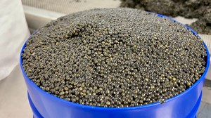 Farming California caviar for a sustainable future