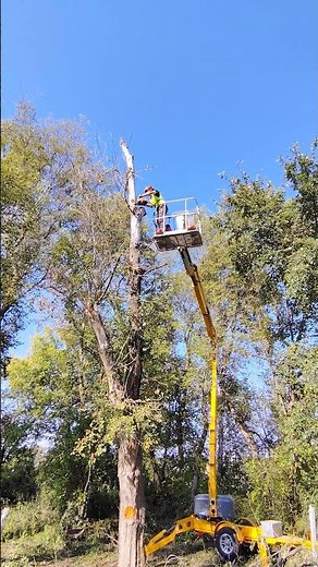 Watch til the end to see how this old log shatters!!