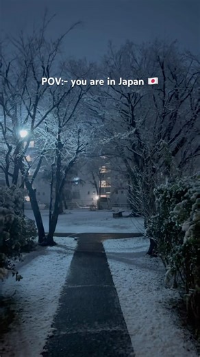 Pov you are in Japan #youtubeshorts #love #solotravel #snowfall #japan #japanlife #bestyoutuber