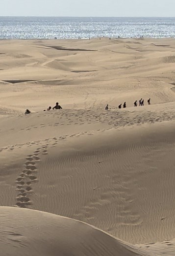 Explore the Bad Things in the Dunes of Maspalomas