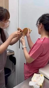 189K views · 2.4K reactions | Been there Tour Dates: Toronto Sept 20-Pittsburgh Oct 3-4-La Jolla CA Oct 17-19-Skankfest Nov 14-16-Winnipeg Nov 20-22-Charlotte NC Nov 28-30-Chicago IL Dec 5-6-Albuquerque NM Dec 12-13 | Che Durena | Facebook