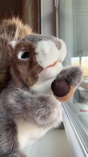 Take your fur off 💃🪩#fyp #makethisviral #baddie #squirrel #handpuppet