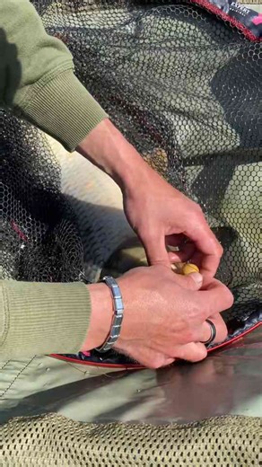 Carp fishing rig tips for better results