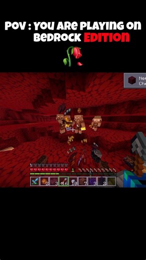 Pov : You are playing on Bedrock Edition