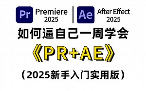 【PR教程】从零开始学PR AE全套教程（2025新手入门实用版）从零基础小白到视频剪辑大神只要这套就够了！