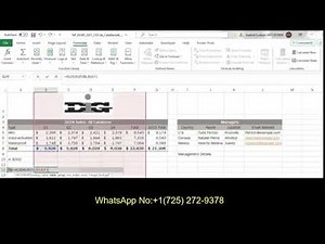 NP Excel 2019 | Modules 5-8: SAM Capstone Project 1a | NP_EX19_CS5-8a_FLName | NewSight Consulting