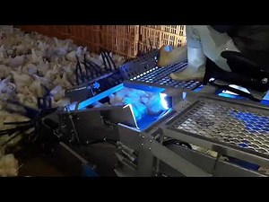 Chicken Harvester ESM Aviking