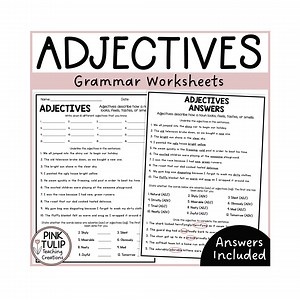 Understanding Adjectives Worksheets - No Prep Printables - Etsy