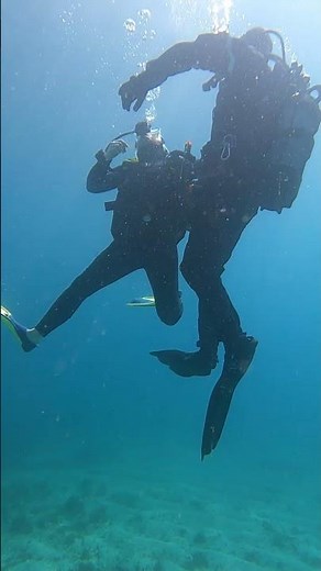Formation plongée 🤿 Exercice remontée panne d'air, à améliorer😊 #plongeesousmarine #ecoledeplongee
