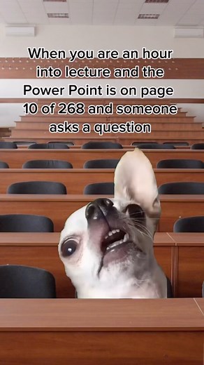 Homework Writers on Instagram: "Need help with assignments? Hit us up. Here’s what we offer: - Expert Writers: Our experienced team delivers top-notch assignments tailored to your requirements. - On-Time Delivery: We guarantee punctual submission, so no more late submissions! - 24/7 Support: Our Customer Support Team is always ready to assist you, anytime you need help. - Affordable Rates: Get high-quality help without breaking the bank. We offer a wide range of services, including essay writing