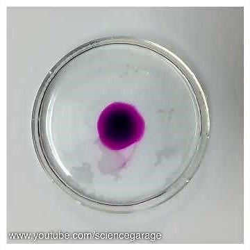 Potassium Permanganate Diffusion (Time Lapse)