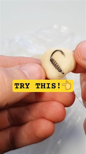 🔥Perfect Dough Bait Rig for Carp & Catfish 🐟 #shorts
