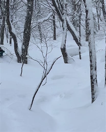 Still in awe from all the snow this week! #optalpine #backcountry #skivt | Alpine Shop