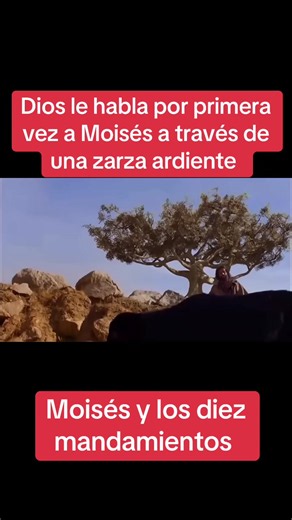 Moisés y los diez mandamientos #moisesylos10mandamientos #Dios #fe #zarzaardiente #historiasbiblicas