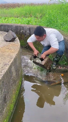 Rural Life: Endless Tasks, Endless Adventures