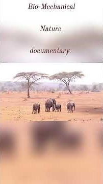 How Elephants Work Adapt, Endure, Innovate (Full Documentary) (ANALYSIS.) bio.