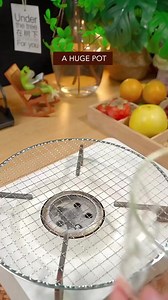 Wine 🍷 fruit recipe 🤤😋🔥 | FOOD Factory