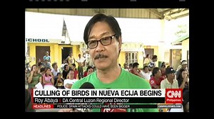 10K views · 34 reactions | Authorities start culling over 100,000 chickens, quails and ducks in Nueva Ecija to prevent the spread of bird flu. | www.cnn.ph | NewsWatch Plus Philippines | Facebook
