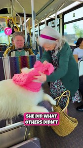 25K views · 86 reactions | Elderly woman wraps fluffy dog in scarf on bus. . . . For entertainment purposes only; filmed in public spaces. No affiliation with brands shown. Inspired by true events; some details may be altered for creativity. Activities shown are not meant to be replicated, performed, or imitated. Consult professionals for safety. | Indonesia Raya | Facebook