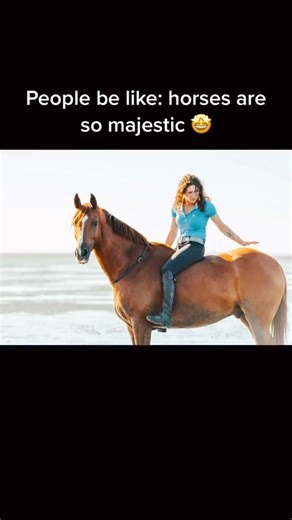 4.3K views · 62 reactions | The most majestic creatures  | Milestone Equestrian | Facebook