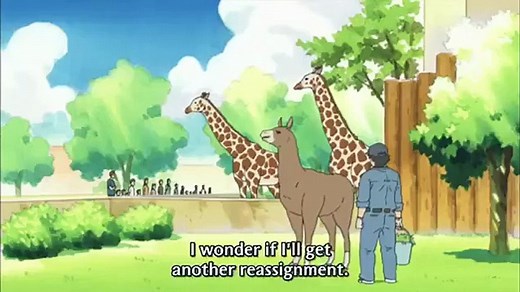 Shirokuma Cafe - Ep21 HD Watch