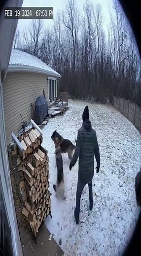 Hero Dogs Caught on Camera Saving Humans from Real Danger 🐕🔥