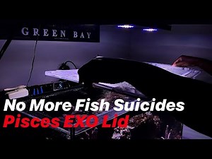 EP.11 | Clearview Lids Pisces EXO