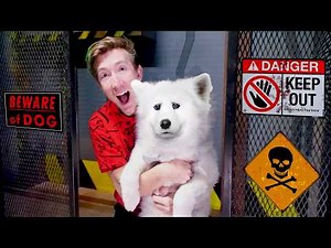 Rescuing My Stolen Puppy!