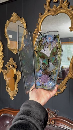 I’ve done a lot of coffin terrariums at this point but this one is my favorite. From the colors to the details, it has so many cool things to look at. This will be coming with me to my next show! If I had a spot for it in my house I would keep it. These little beetles might be my new favorite bug. Two Alpine Black swallowtails (Papilio maackii, one spring form and one summer form), blue-violet chafer beetles, a real preserved orb weaver web, an amethyst cluster, and dried florals in a glass coff