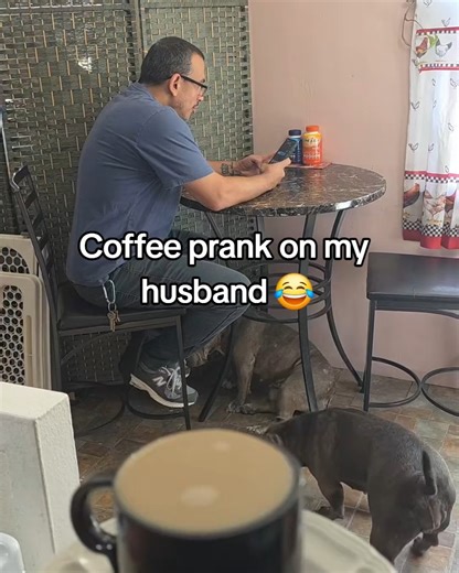 339K views · 5.9K reactions | I think she managed to prank the whole internet with that  | HappinessHub | Facebook