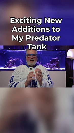 3.2K views · 27 reactions | Predator Tank 110%!  Watch the Full Episode/Series - https://www.saltwateraquarium.com/video/newbie-tank-build-2-0/ | SaltwaterAquarium.com | Facebook