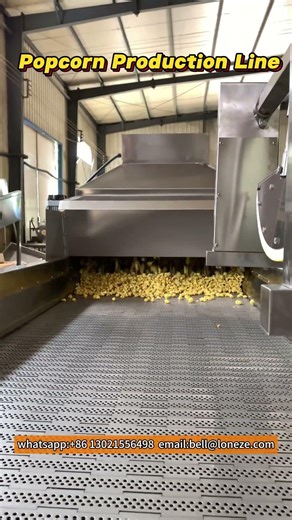 High Output Industrial Large Popcorn Popper and Production Line#popcornmachine #productionline