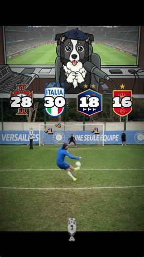 Zoky scoring nations competing for the EURO🐶⚽