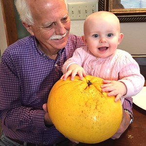 This gigantic grapefruit grown in Louisiana, USA by Douglas & Mary Beth Meyer has claimed new records for both heaviest and largest by circumference | Guinness World Records