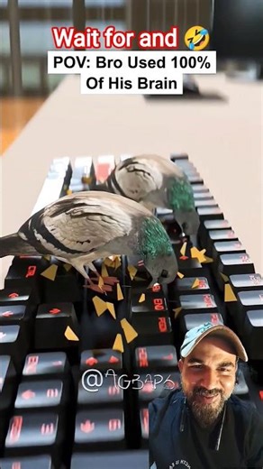 #roblox #ishowspeedwannabe #memes #helpmemakethismakesense #edit #robloxedit #animation #funny