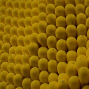 The University of St Andrews’ flagship Wardlaw Museum will reopen on Saturday 4 April following a £2.1 million overhaul. Get a sneak peek now and step inside the Museums of the University of St Andrews #Wardlaw2020 | University of St Andrews