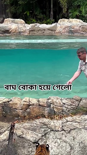 #Wildanimals | Anirban Bhattacharyya