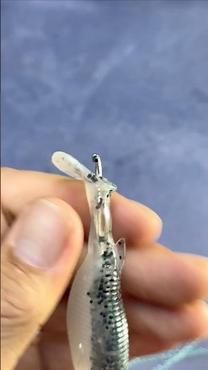 The Secret Rig Tournament Anglers Don’t Want You to Know! #zanderfishing #perchfishing #fishingtips