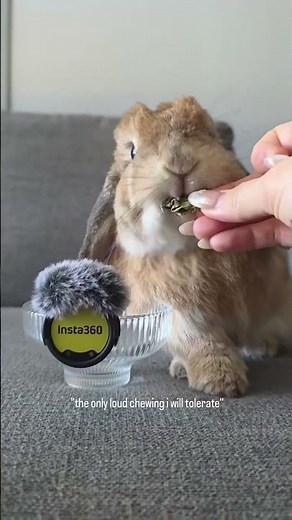 The most satisfying bite on your feed 👀 | Insta360 Mic Pro