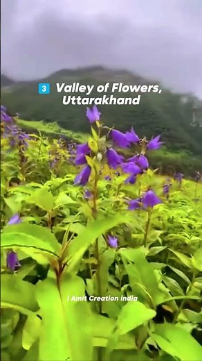 6 Best Places To Visit In Monsoon 🌧️🇮🇳 | India Rainy Season Travel Guide