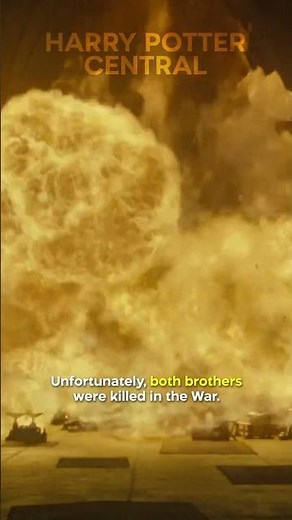 Did You Know This About Molly Weasley In HARRY POTTER…