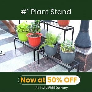 783K views · 17 reactions | ퟔퟓ+ 퐏퐥퐚퐧퐭 퐒퐭퐚퐧퐝 퐃퐞퐬퐢퐠퐧퐬 — 퐎퐧퐞 퐟퐨퐫 퐄퐯퐞퐫퐲 퐂퐨퐫퐧퐞퐫 퐨퐟 퐘퐨퐮퐫 퐇퐨퐦퐞! From compact balconies to spacious patios, we’ve got all shapes & sizes to fit your space perfectly.  Stylish. Sturdy. Space-smart.  Shop now — Upto 70% OFF! | Urban Plant | Facebook