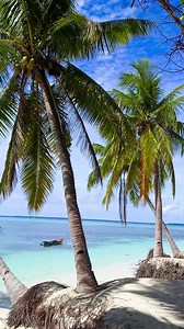 📌Featuring: Balabac, Palawan🇵🇭 Experience Candaraman Island one of the highlights of Balabac island tour..This island is our 6th island stop during our island hopping. A secluded and raw paradise in south of the province of Palawan. Stunning...not as well known as Onok but it has a picture postcard beach spread along its' shoreline...lovely place to chill and unwind. Like many other island in Balabac Palawan this island has stunning beaches perfect to relax and enjoy the beauty of Balabac Pal