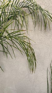 🌞🏡 Llegan los meses para disfrutar de los espacios exteriores, y el revestimiento Casadeco Románico es perfecto para darle color, textura y protección a tus paredes. ¡Conocé sus características y conseguilo en tu pinturería amiga! 👉 https://www.casablanca.com.ar/product/casadeco-romanico/ | Casablanca Pinturas