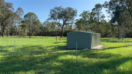 Things are still happening, built 2 sheds that will eventually be dog kennels, plus a large enclosure with plenty of room. Before anyone goes off that the sheds will be hot……I haven’t finished building yet ok. I do look after my dogs actually better than I look after myself Cheers John | Sheep Herding For City Dogs