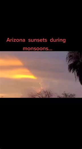 Craig Davis (@craigdavis305)’s videos with Hello, Goodbye - Remastered 2015 - The Beatles